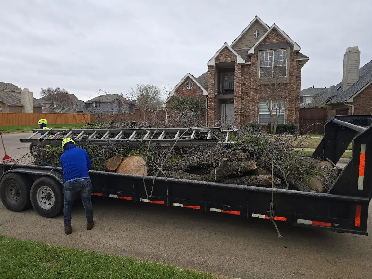 Expert Crown Reduction with proper safety equipment in Oak Ridge